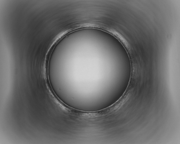 X0000113350902200909221141
