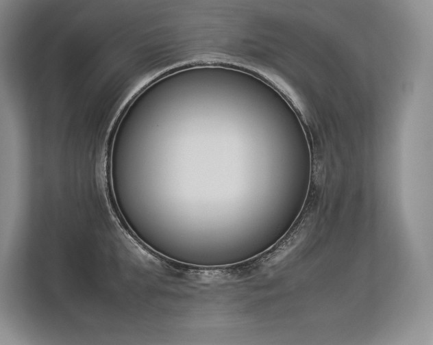 X0000113350903200909221141
