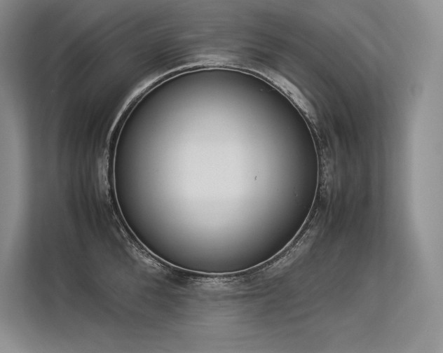 X0000113350904200909221141