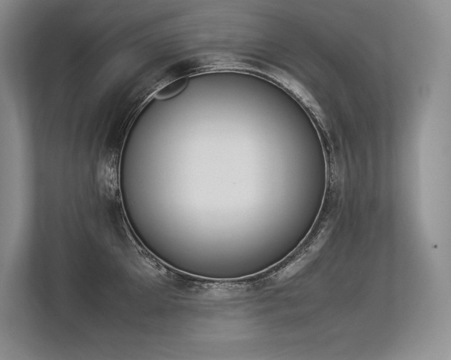 X0000113350905200909221141