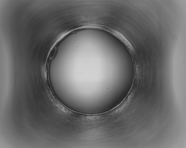 X0000113350908200909221141
