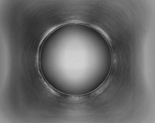 X0000113350910200909221141