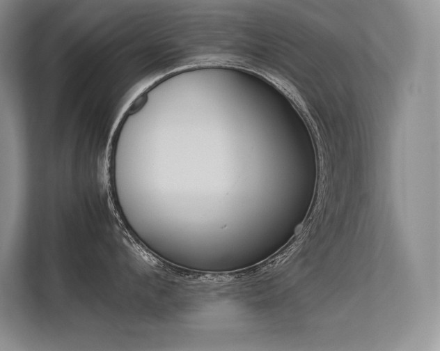 X0000113350912200909221141