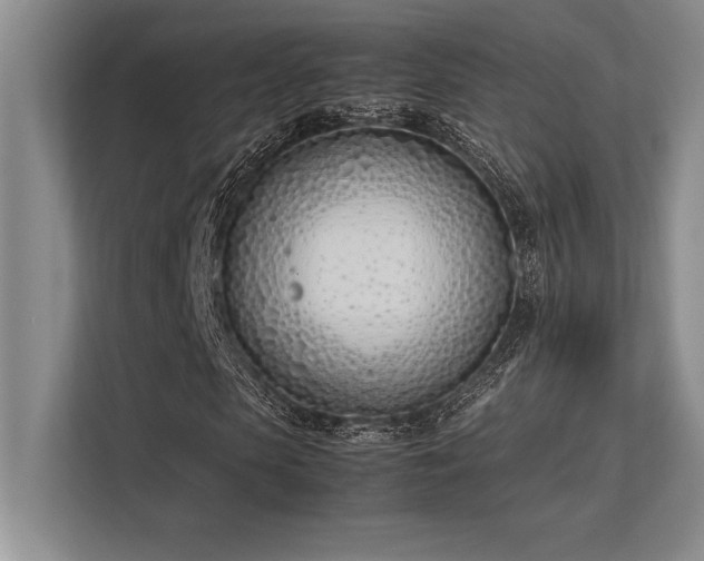 X0000113350913200909221140