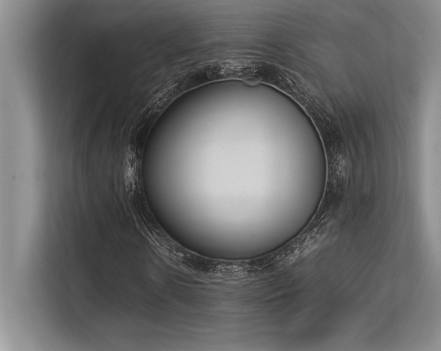 X0000113350914200909221140