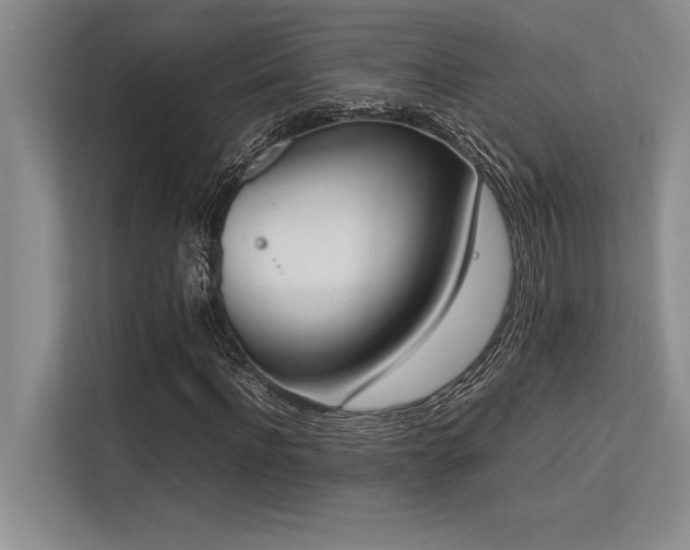 X0000113350916200909221140