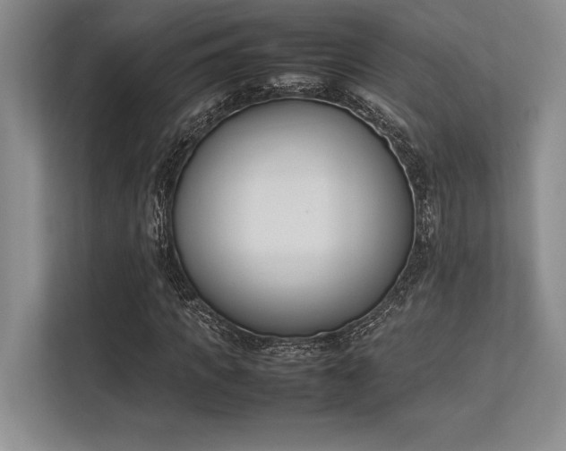 X0000113350917200909221140