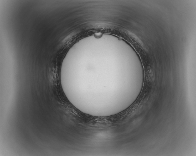 X0000113350918200909221140