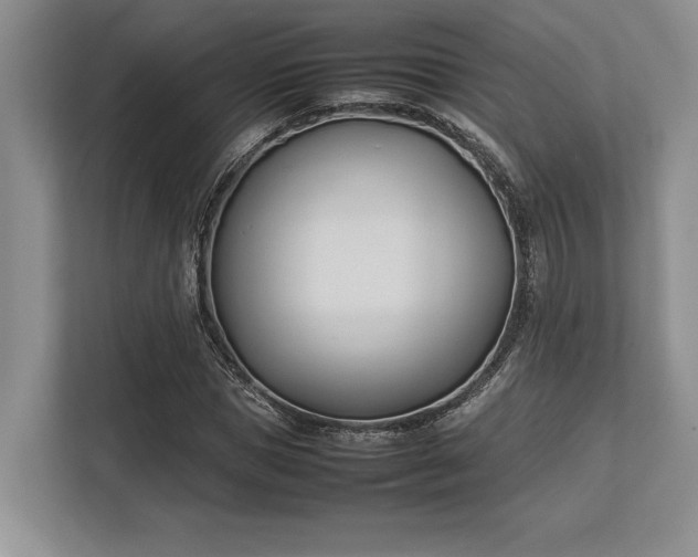 X0000113350921200909221140