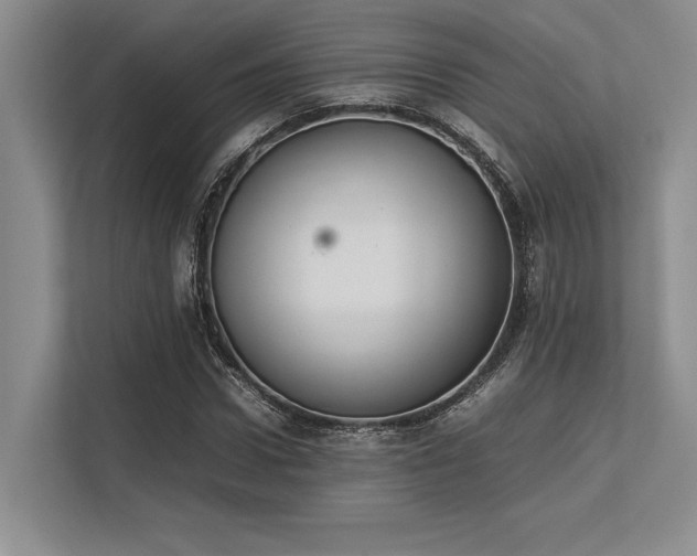 X0000113350922200909221141