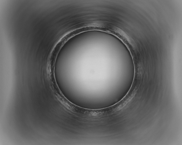 X0000113350923200909221141