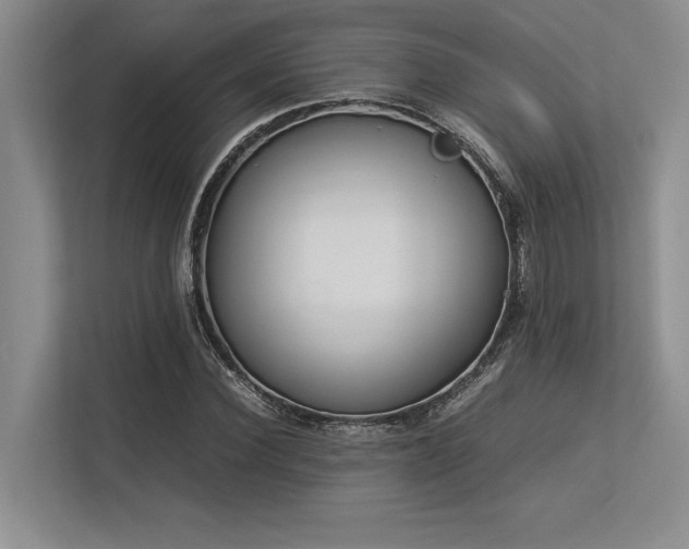 X0000113350924200909221141
