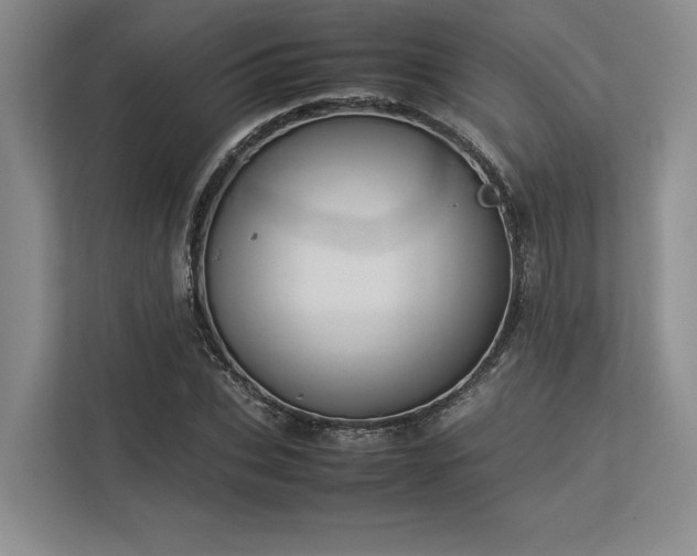 X0000113350927200909221141