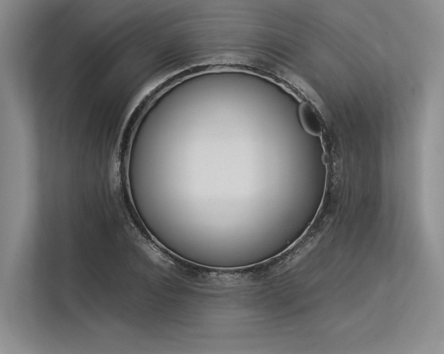 X0000113350928200909221141