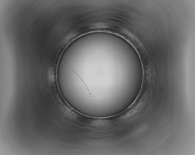 X0000113350929200909221141