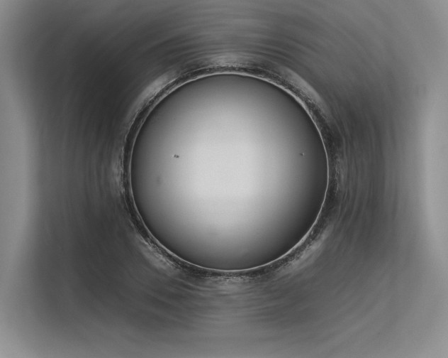X0000113350930200909221141