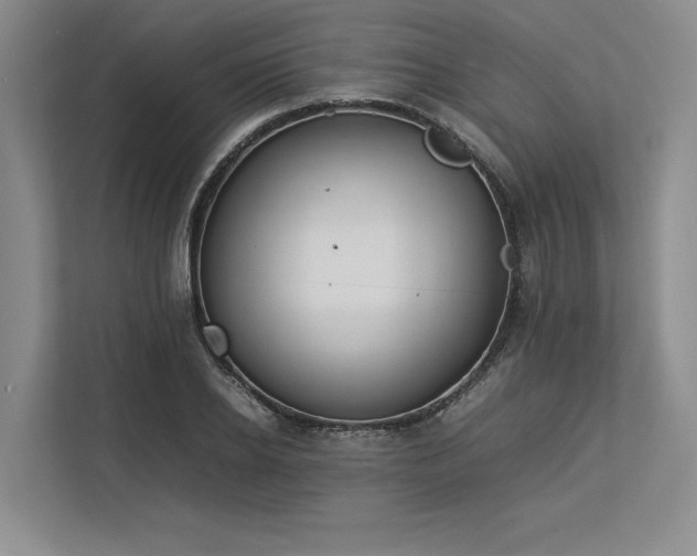 X0000113350934200909221141
