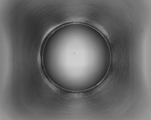 X0000113350936200909221141