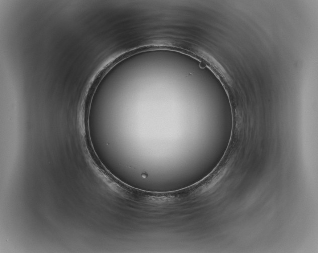 X0000113350939200909221141
