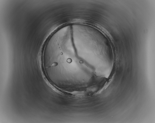 X0000113350941200909221141