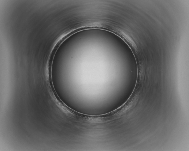 X0000113350944200909221141