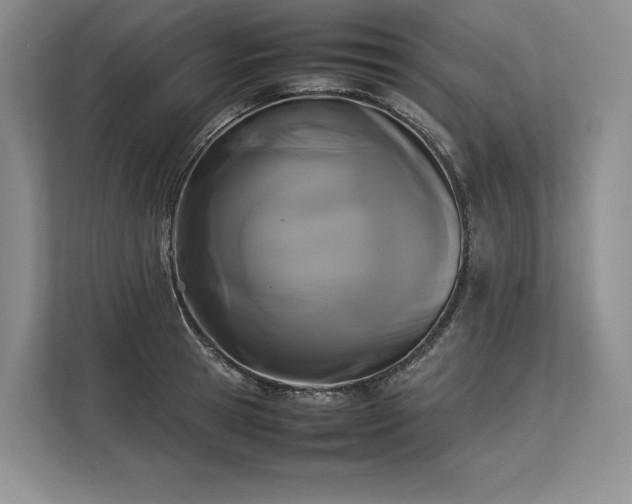 X0000113350945200909221141