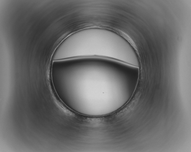 X0000113350946200909221141