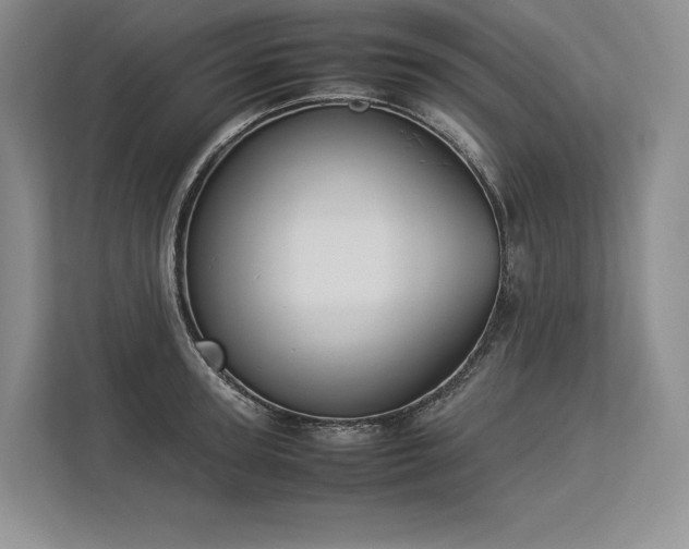 X0000113350947200909221141
