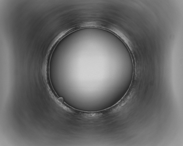 X0000113350949200909221141