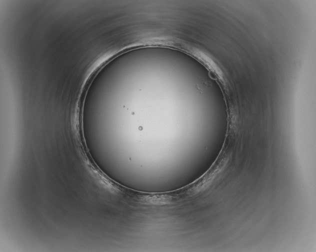 X0000113350952200909221141
