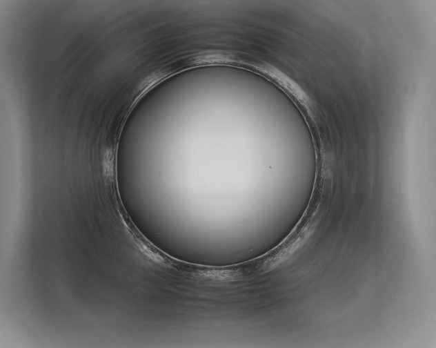 X0000113350953200909221141