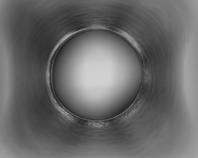 X0000113350955200909221141
