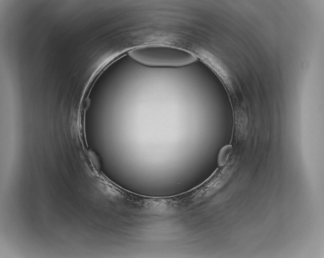 X0000113350956200909221141