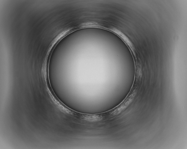 X0000113350957200909221141