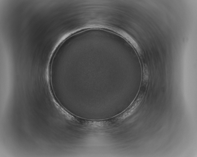 X0000113350958200909221141