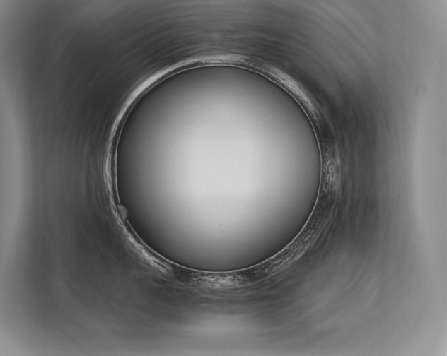 X0000113350959200909221141