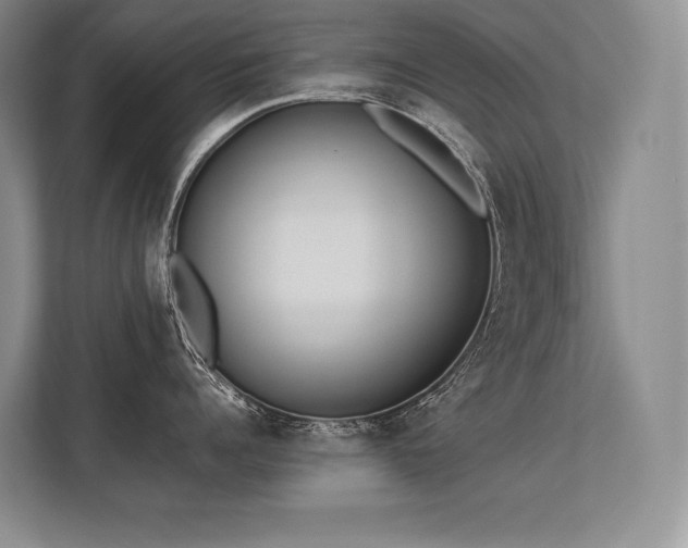 X0000113350960200909221141
