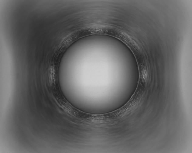 X0000113350964200909221140