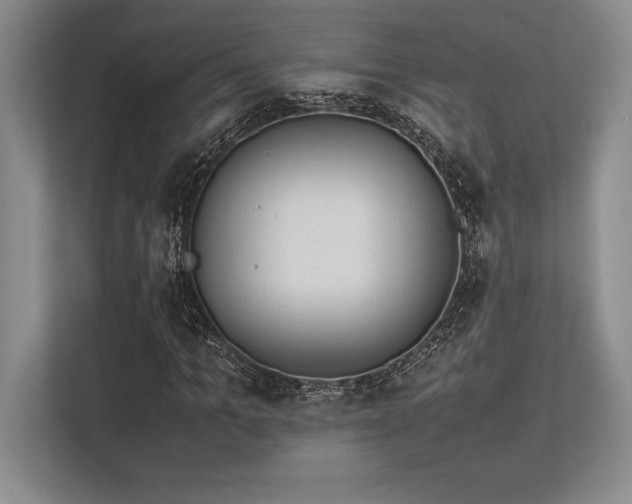 X0000113350965200909221140
