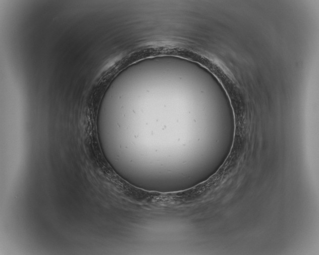 X0000113350967200909221140