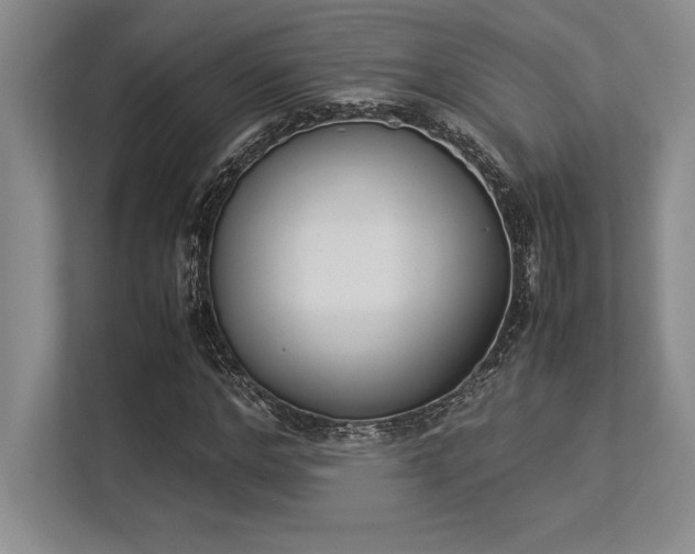 X0000113350968200909221140