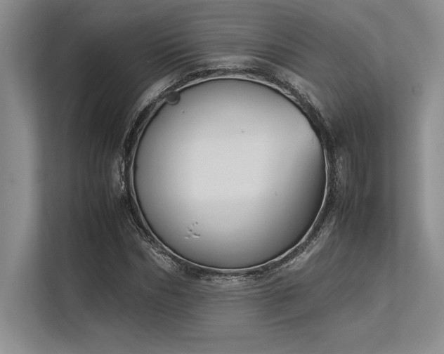 X0000113350970200909221140