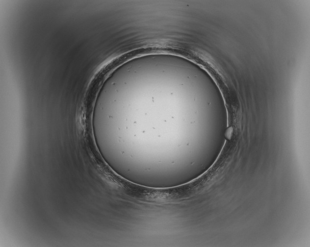X0000113350971200909221140