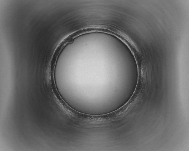 X0000113350972200909221140