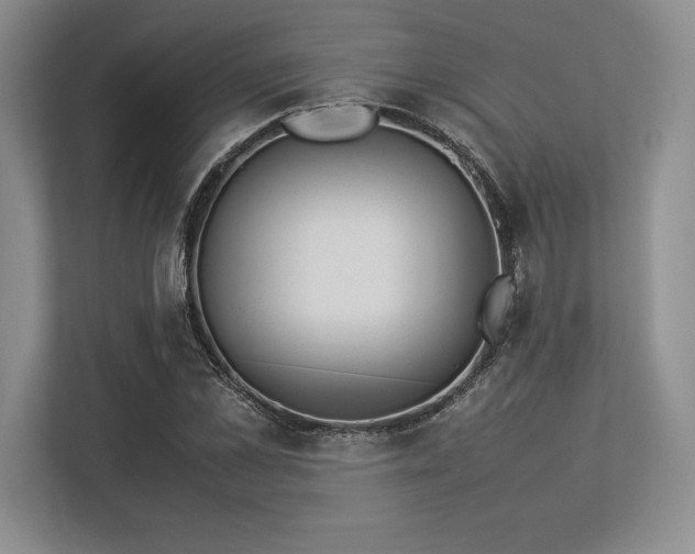 X0000113350973200909221140