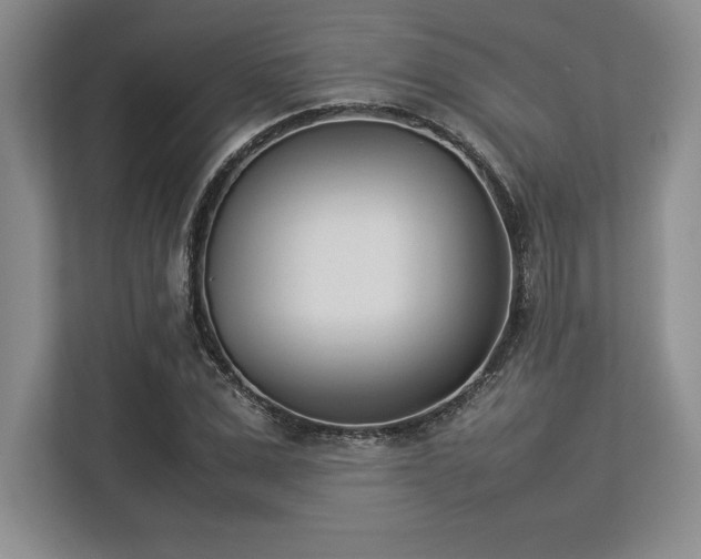 X0000113350975200909221140