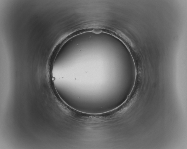 X0000113350981200909221140