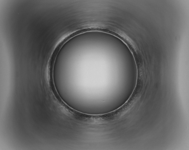 X0000113350983200909221140