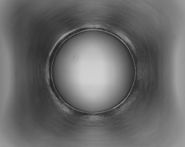 X0000113350984200909221140