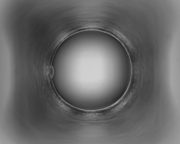 X0000113350985200909221140
